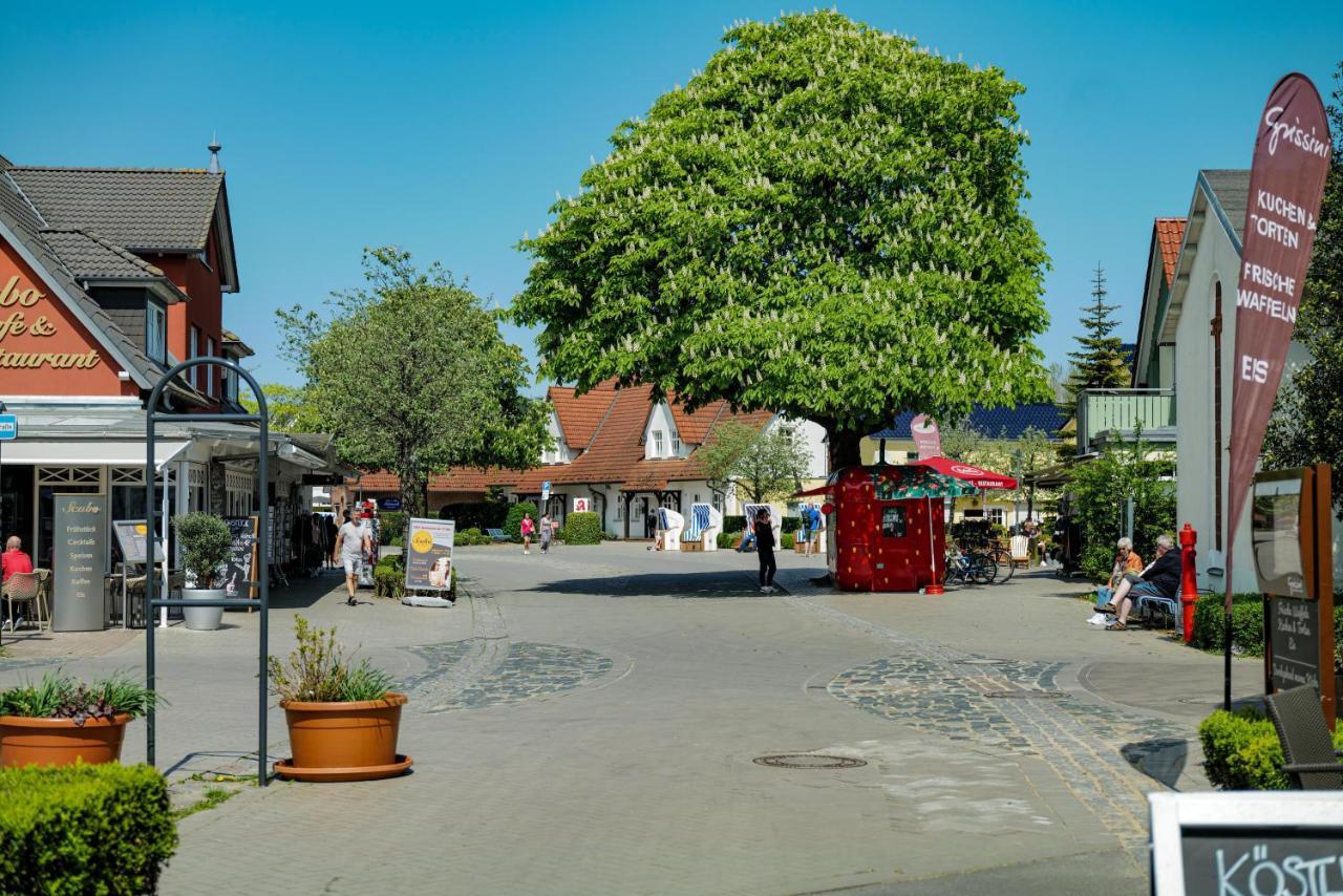 Ferienwohnungen Meerfarbig Zingst - Haustierfrei -Terrasse Mit Strandkorb Oder Balkon - E-Ladesaeule - Parkplatz - Wlan - Fahrradschuppen - Waschtrockner - Ruhig Und Zentral - Nichtraucher المظهر الخارجي الصورة